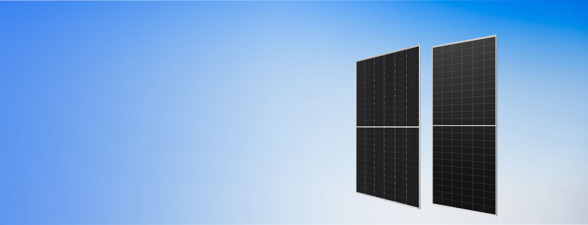 banner.jpg